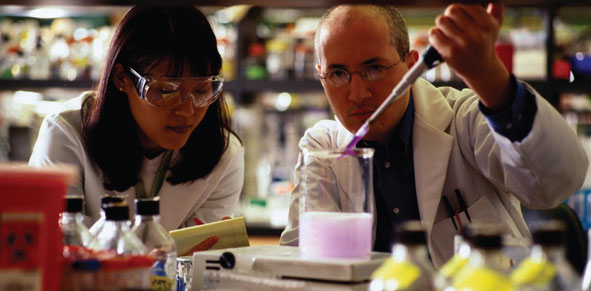 Woman and man scientist working in a life science lab