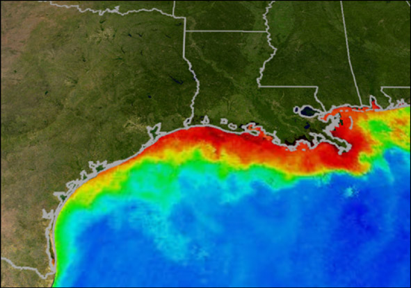 Oxygen-depleted regions in the Gulf of Mexico