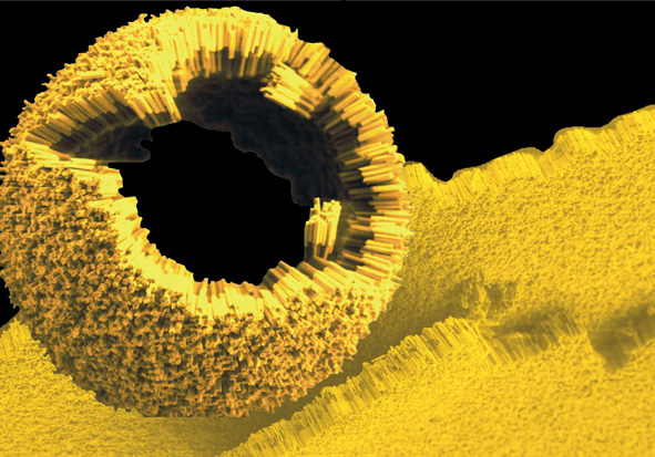 gold-polymer nanorods assembled into a sphere, potentially useful for drug delivery
