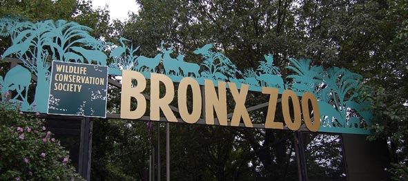 Bronx Zoo sign