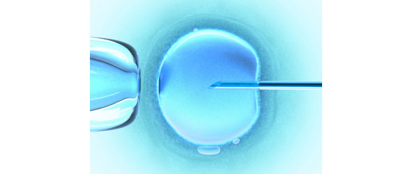 In-vitro ferilization of an egg
