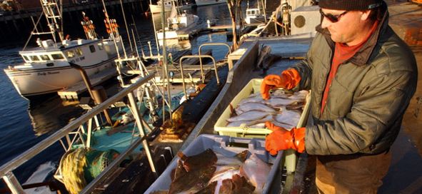 Fisherman unloading his catch